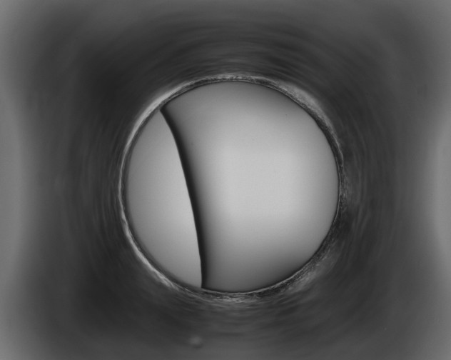 X0000086010847200703230909