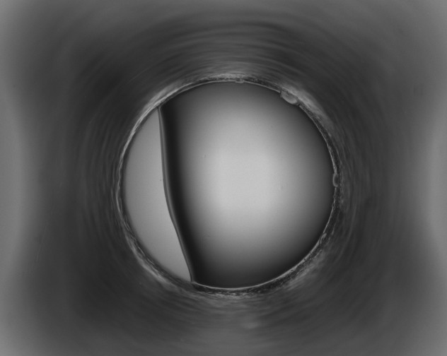 X0000086010850200703230909