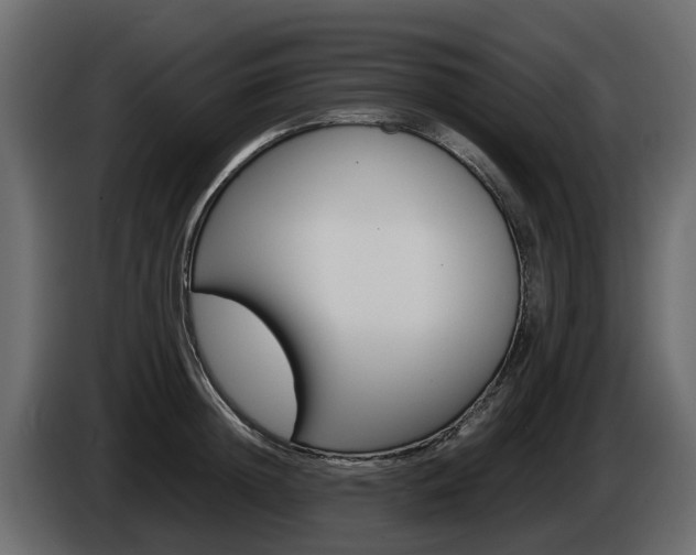 X0000086010852200703230909