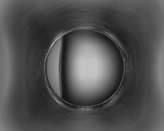 X0000086010858200703230909