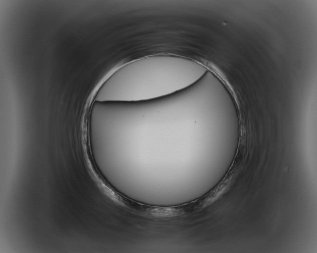 X0000086010859200703230909