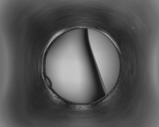 X0000086010861200703230909