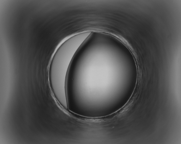 X0000086010862200703230909