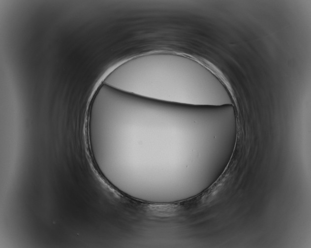 X0000086010863200703230909