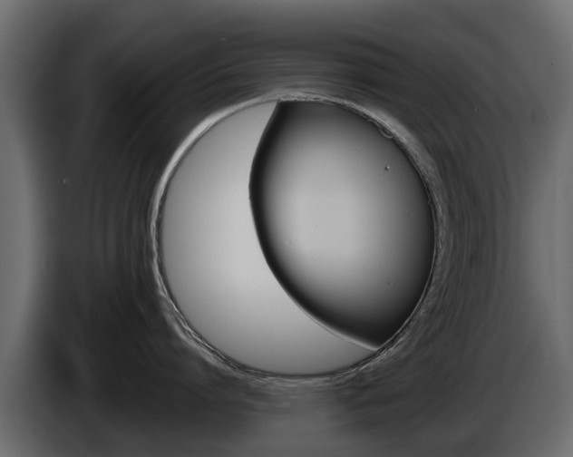 X0000086010864200703230909