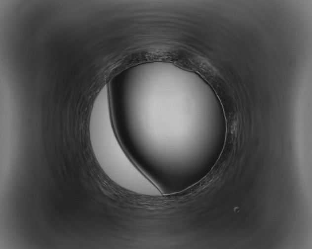 X0000086010868200703230909
