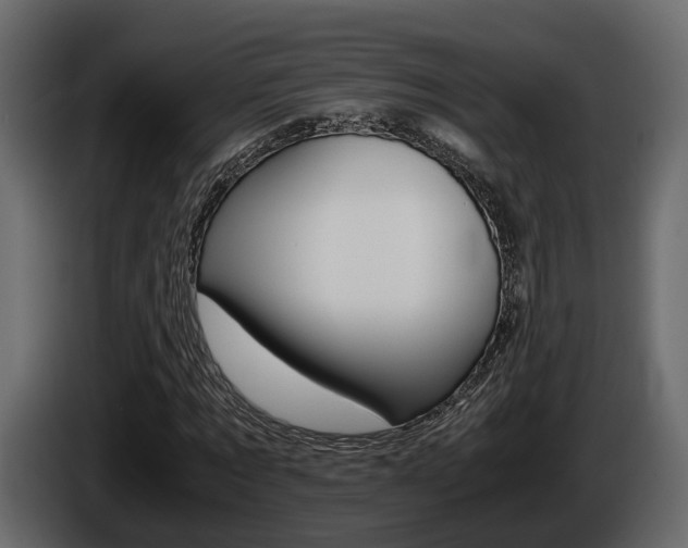 X0000086010869200703230909