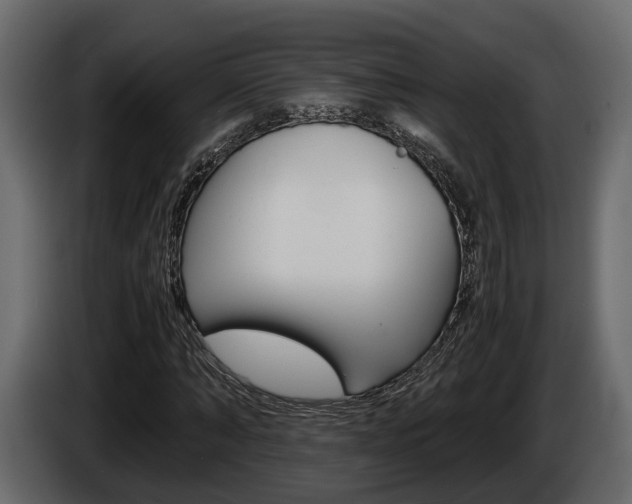 X0000086010870200703230909
