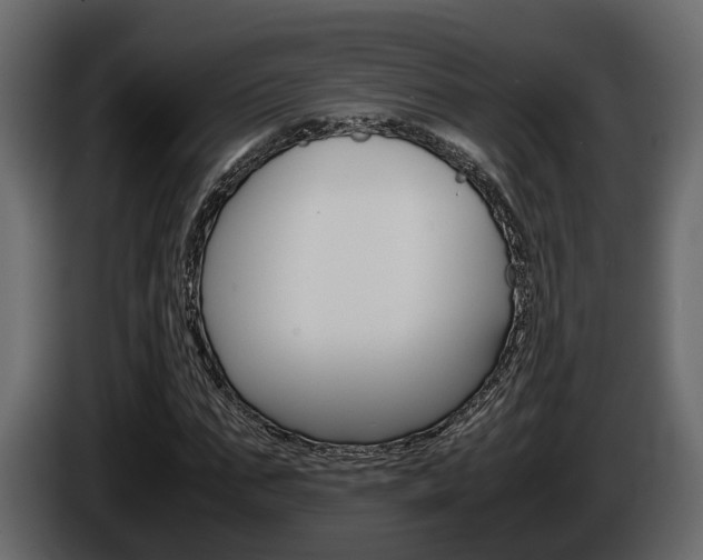 X0000086010871200703230908