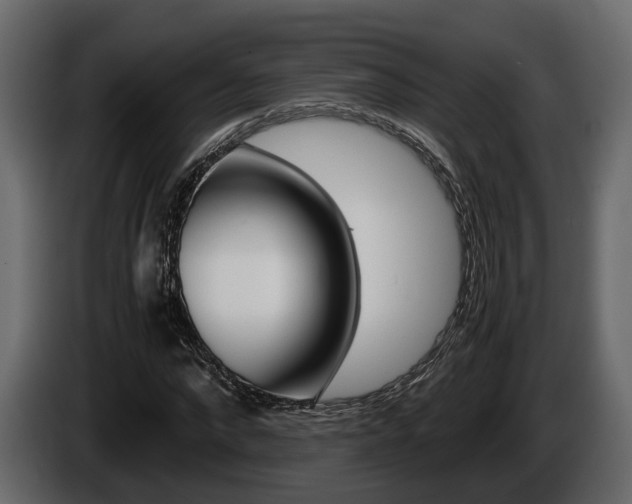 X0000086010872200703230908