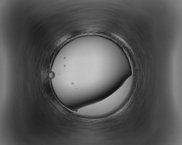 X0000086010873200703230908
