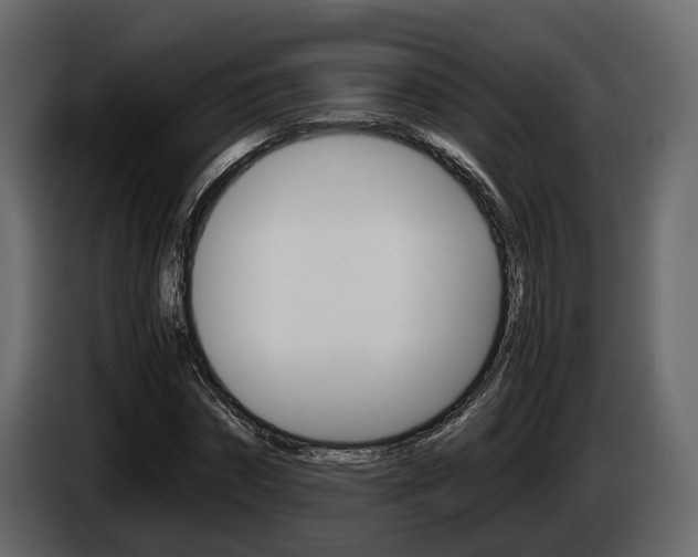 X0000086010874200703230908