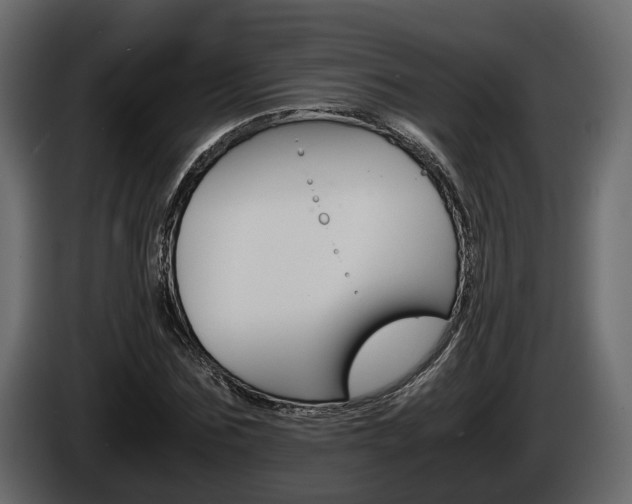 X0000086010875200703230908