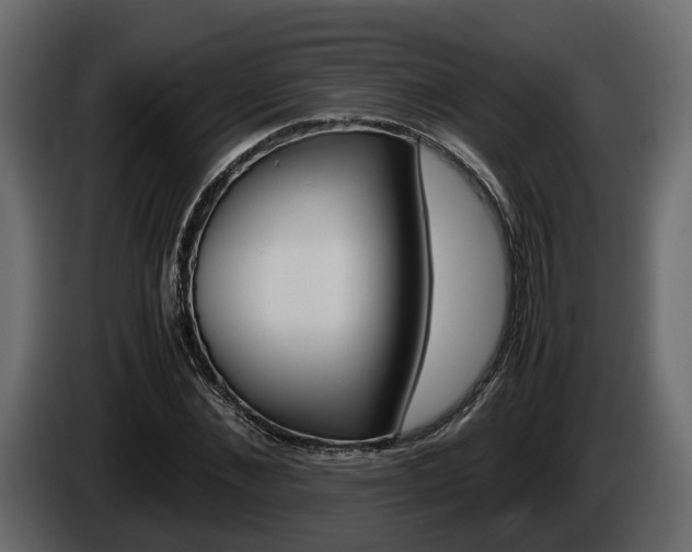 X0000086010876200703230908