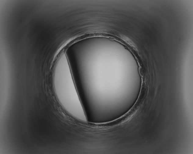 X0000086010877200703230908