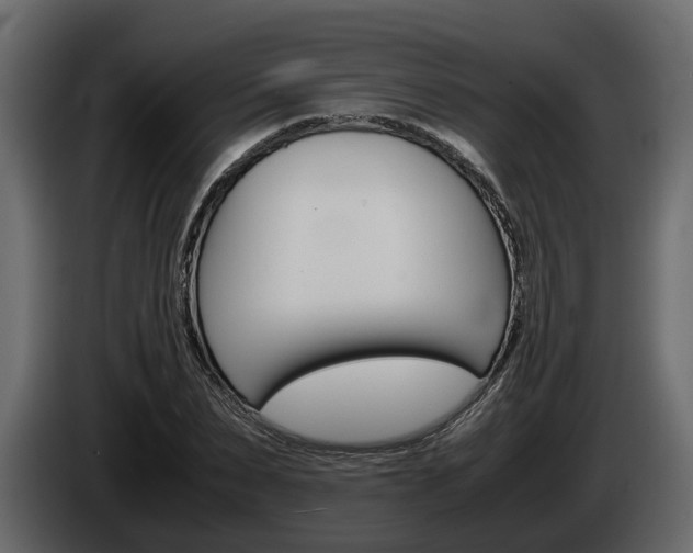 X0000086010879200703230908