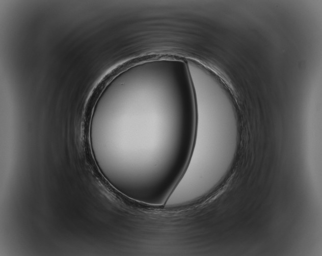 X0000086010880200703230908