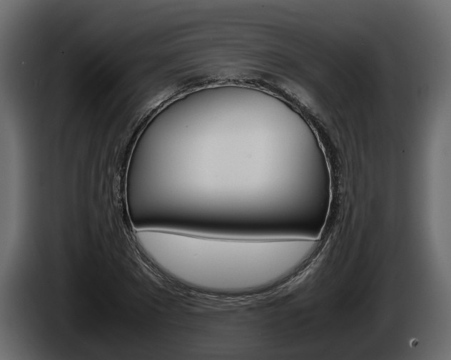 X0000086010881200703230908