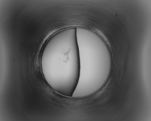 X0000086010883200703230908
