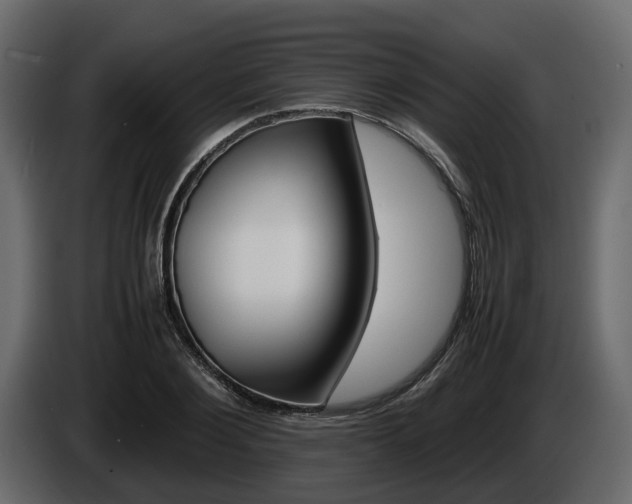 X0000086010884200703230908