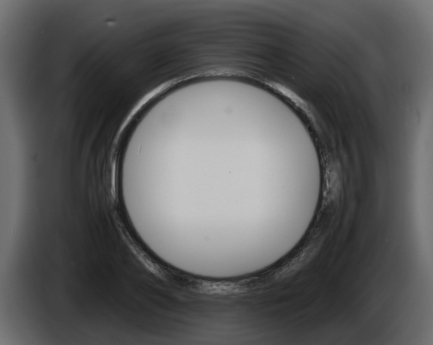 X0000086010886200703230908