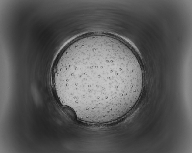 X0000086010887200703230908