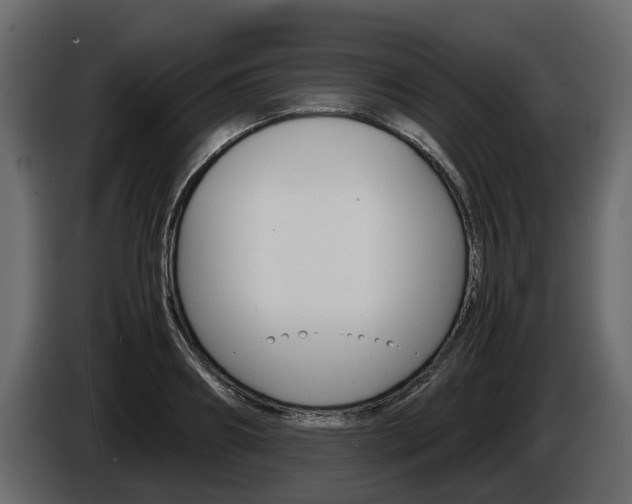 X0000086010890200703230908