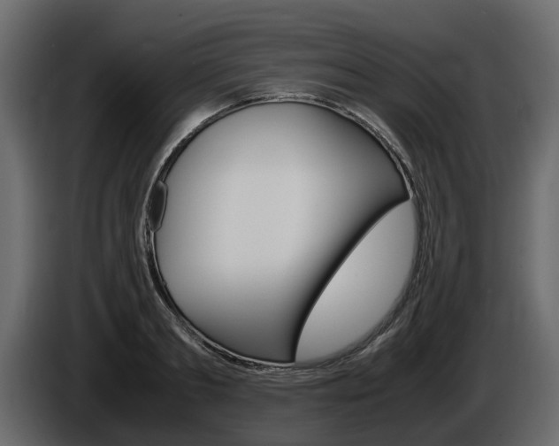 X0000086010893200703230908