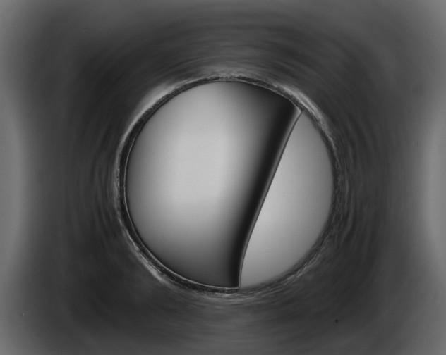 X0000086010894200703230908