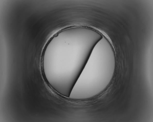 X0000086010895200703230908