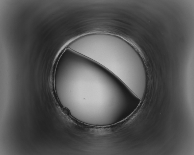 X0000086010896200703230908