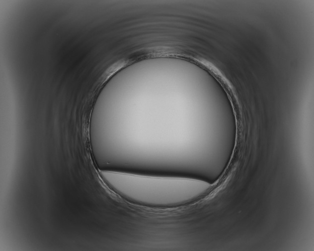 X0000086010897200703230908