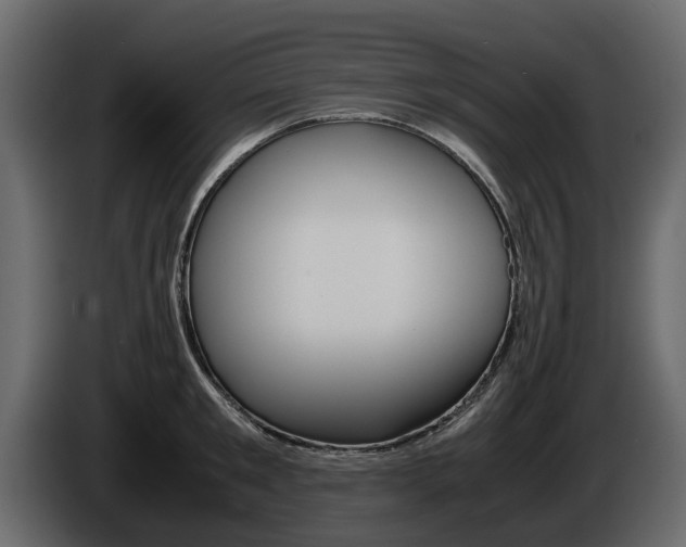 X0000086010901200703230908