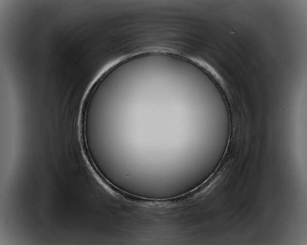 X0000086010902200703230908
