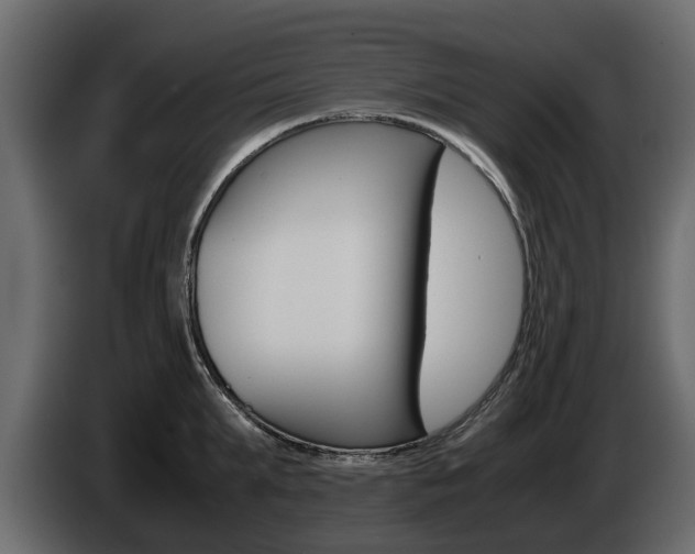 X0000086010903200703230908