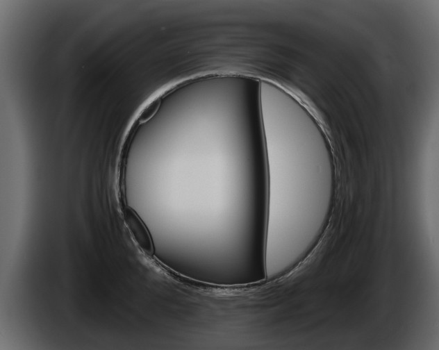 X0000086010904200703230908
