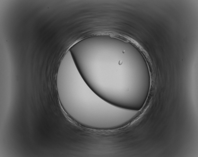 X0000086010905200703230908