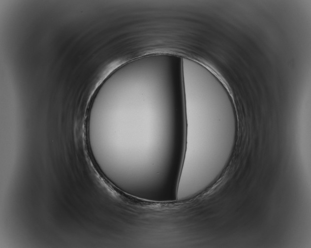 X0000086010906200703230908