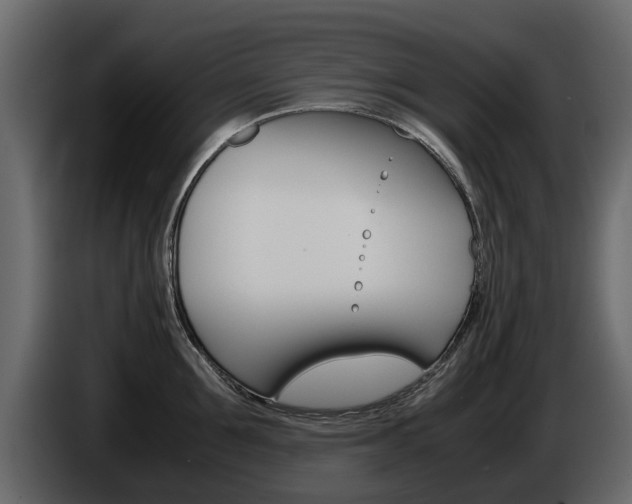 X0000086010907200703230908