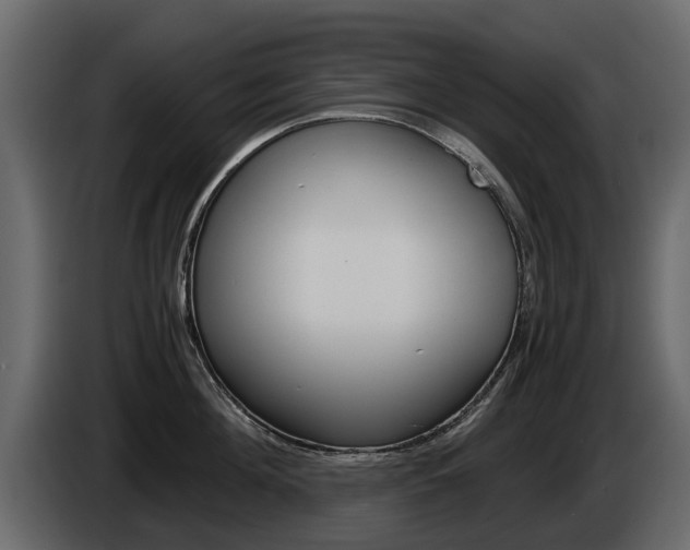 X0000086010908200703230908