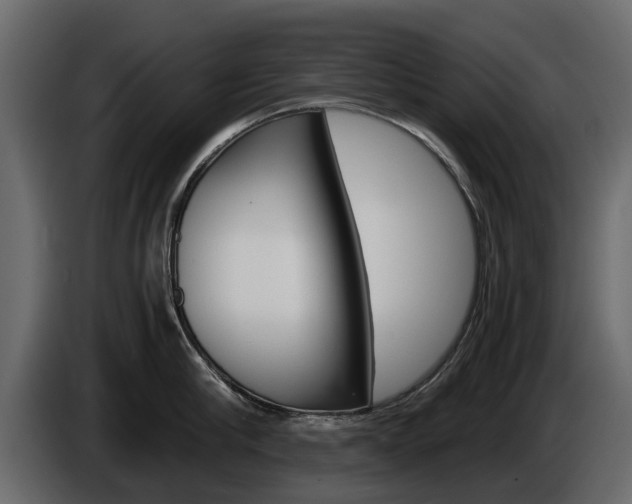 X0000086010910200703230908