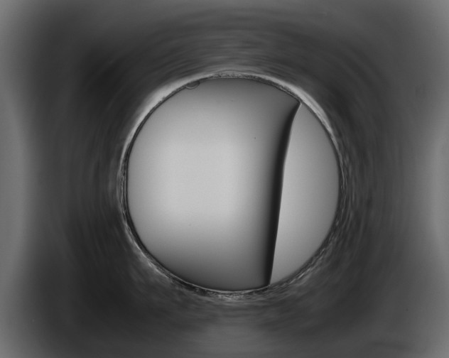 X0000086010911200703230908