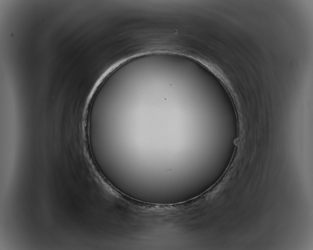 X0000086010912200703230908