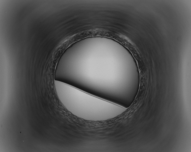 X0000086010919200703230907