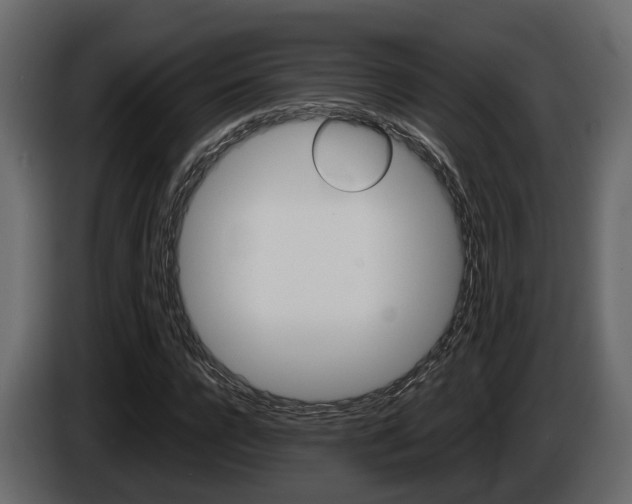 X0000086010920200703230907