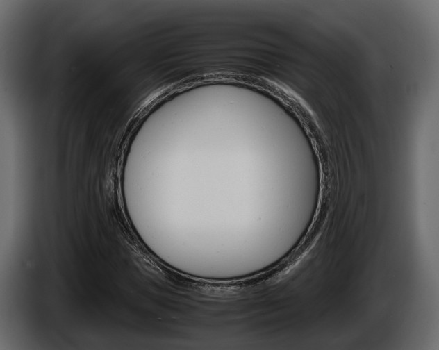 X0000086010921200703230907