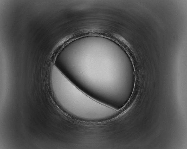 X0000086010922200703230907
