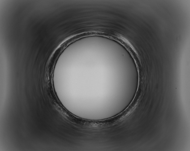 X0000086010923200703230907