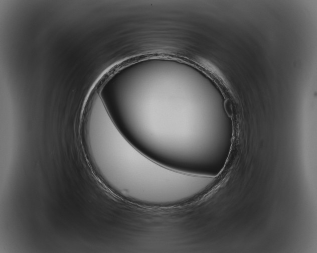 X0000086010924200703230907