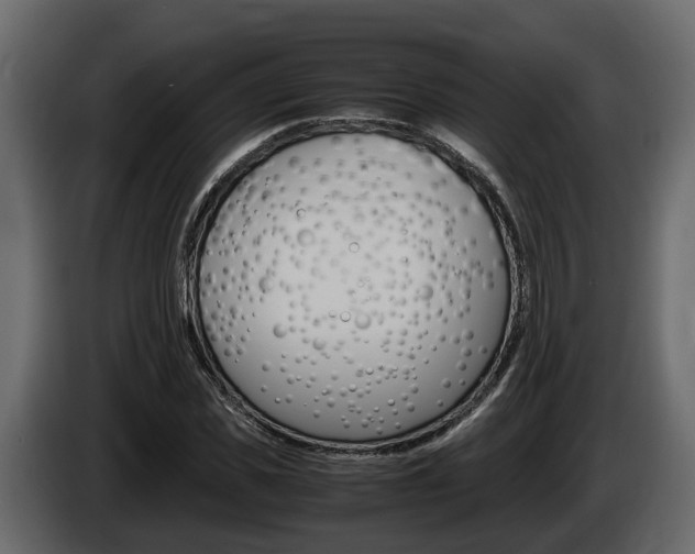X0000086010925200703230907